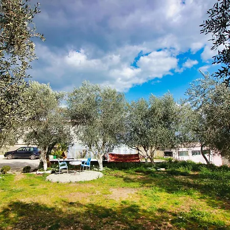 Maison d'hôtes The Olives *