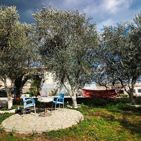 The Olives Gæstehus